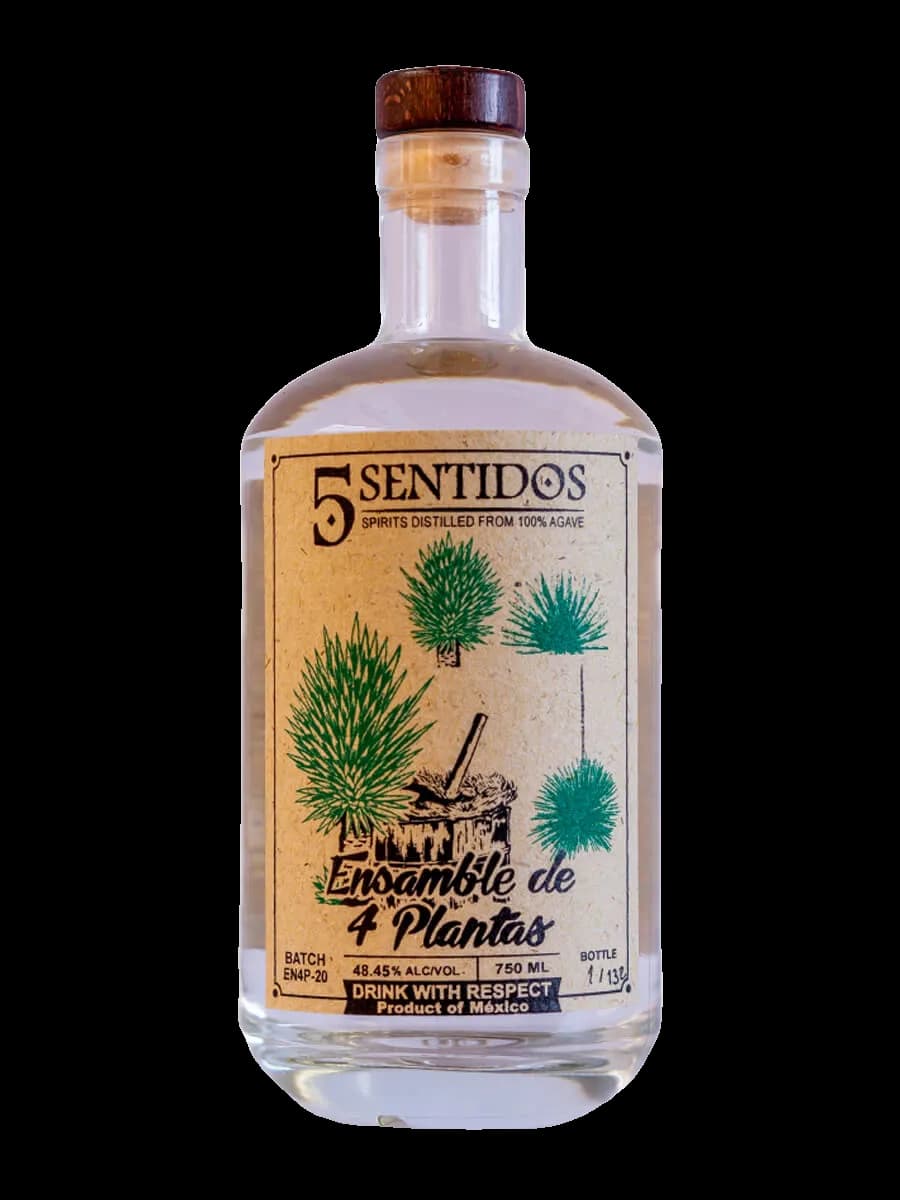 5 Sentidos Blanco – Isaac Cruz