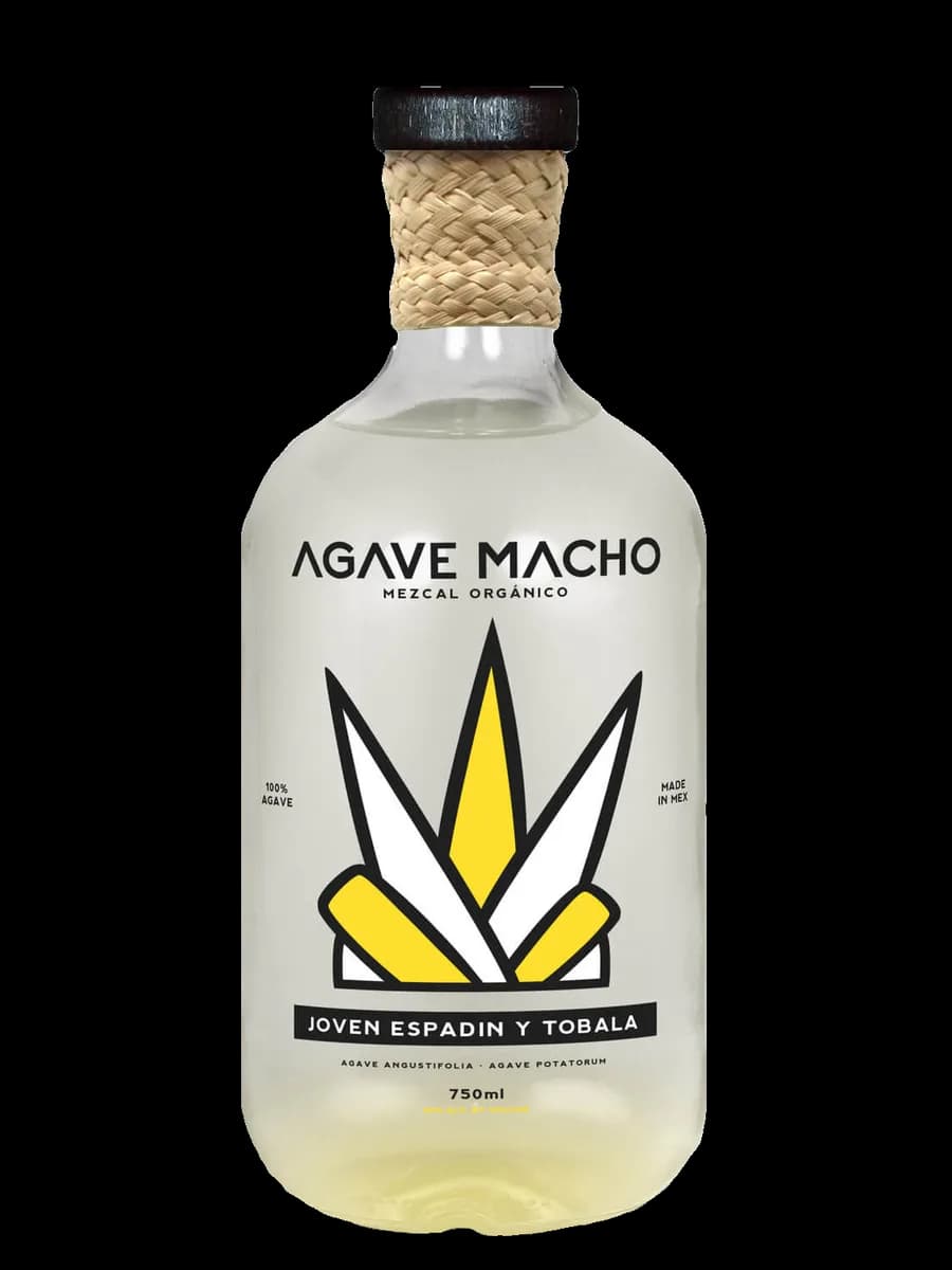 5 Sentidos Tepextate – Benigno & Javier