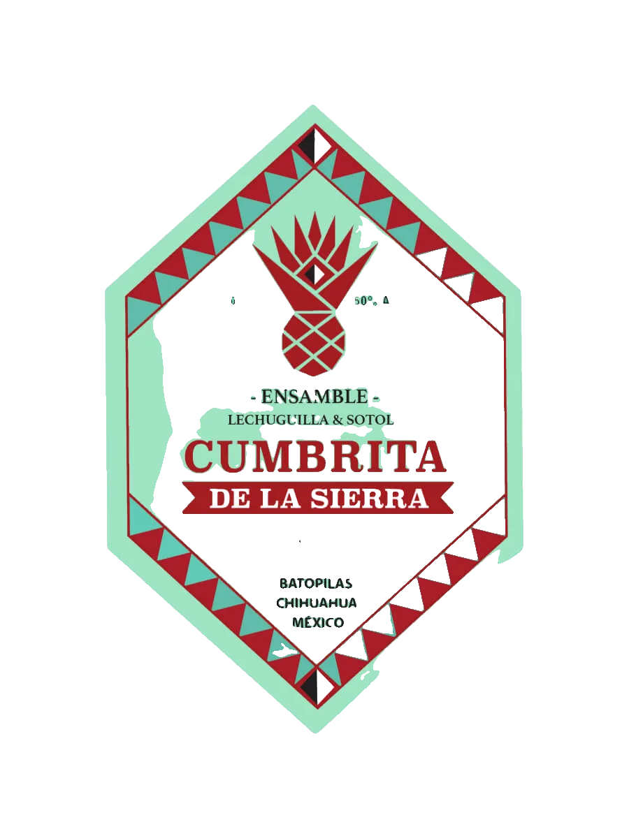 Cinco Sentidos Papalome (Mixteca ed. 2) by 5 Sentidos