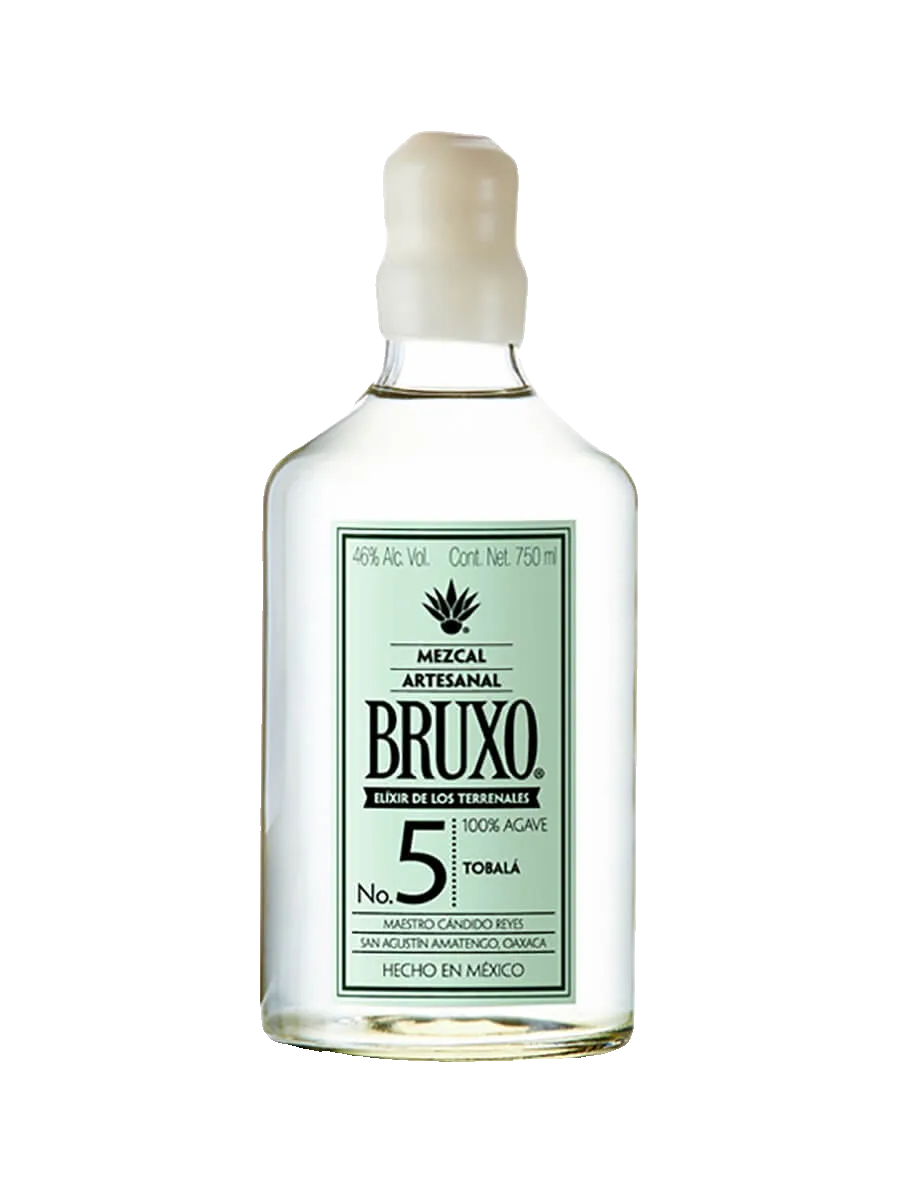 Armadillo Negro Sierrudo – Lupe R.