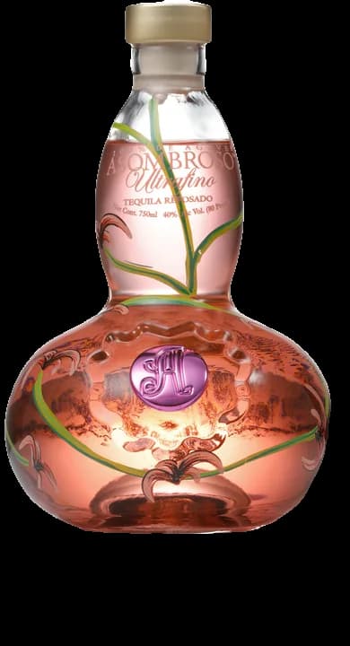 Asombroso La Rosa 3 Month