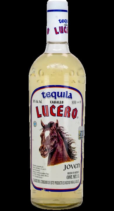 Caballo Lucero Joven