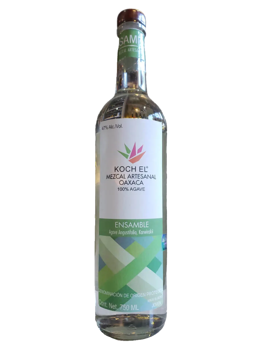 El Rey Zapoteco Tepeztate