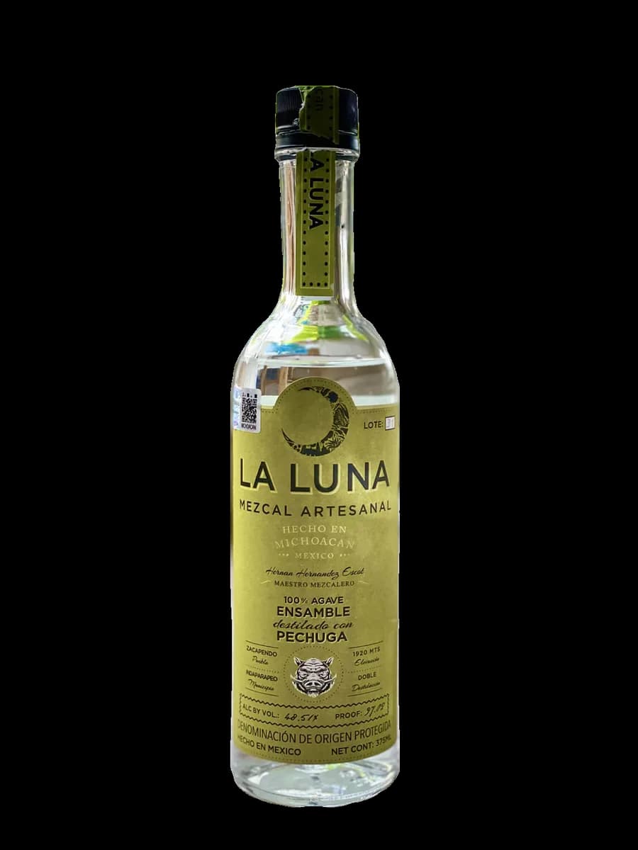 El Tigre Papalote – Tio Chuchi