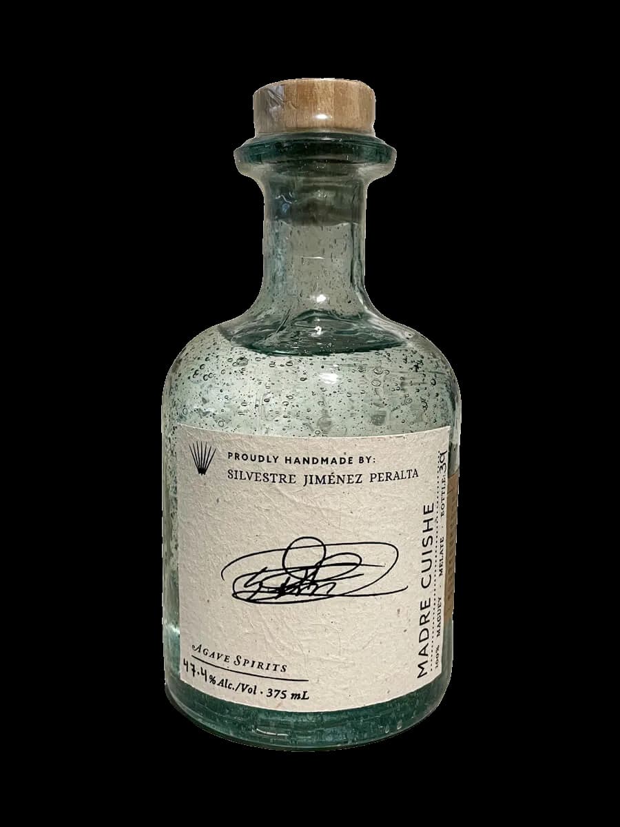 Indio Alonso Tuxca Cimarron / Salmiana