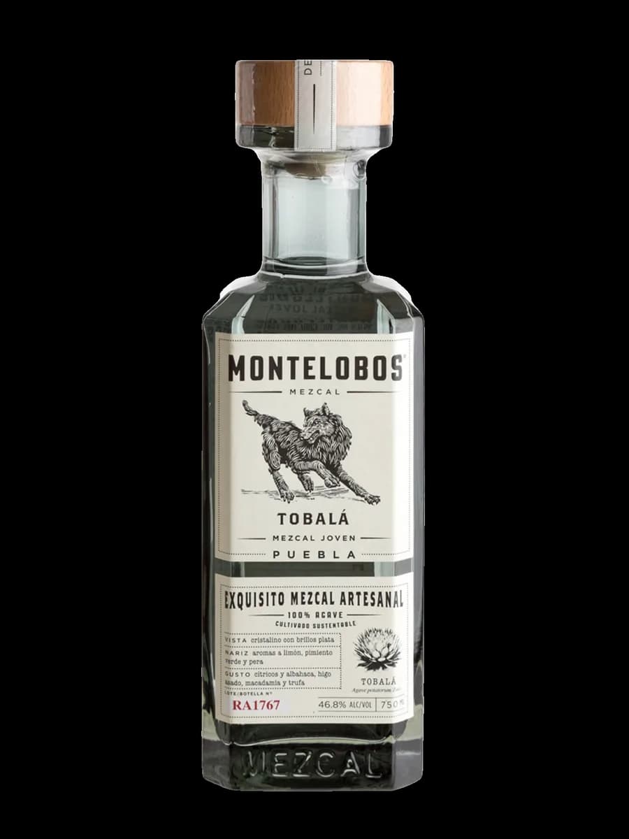 Leyendas Maguey Azul