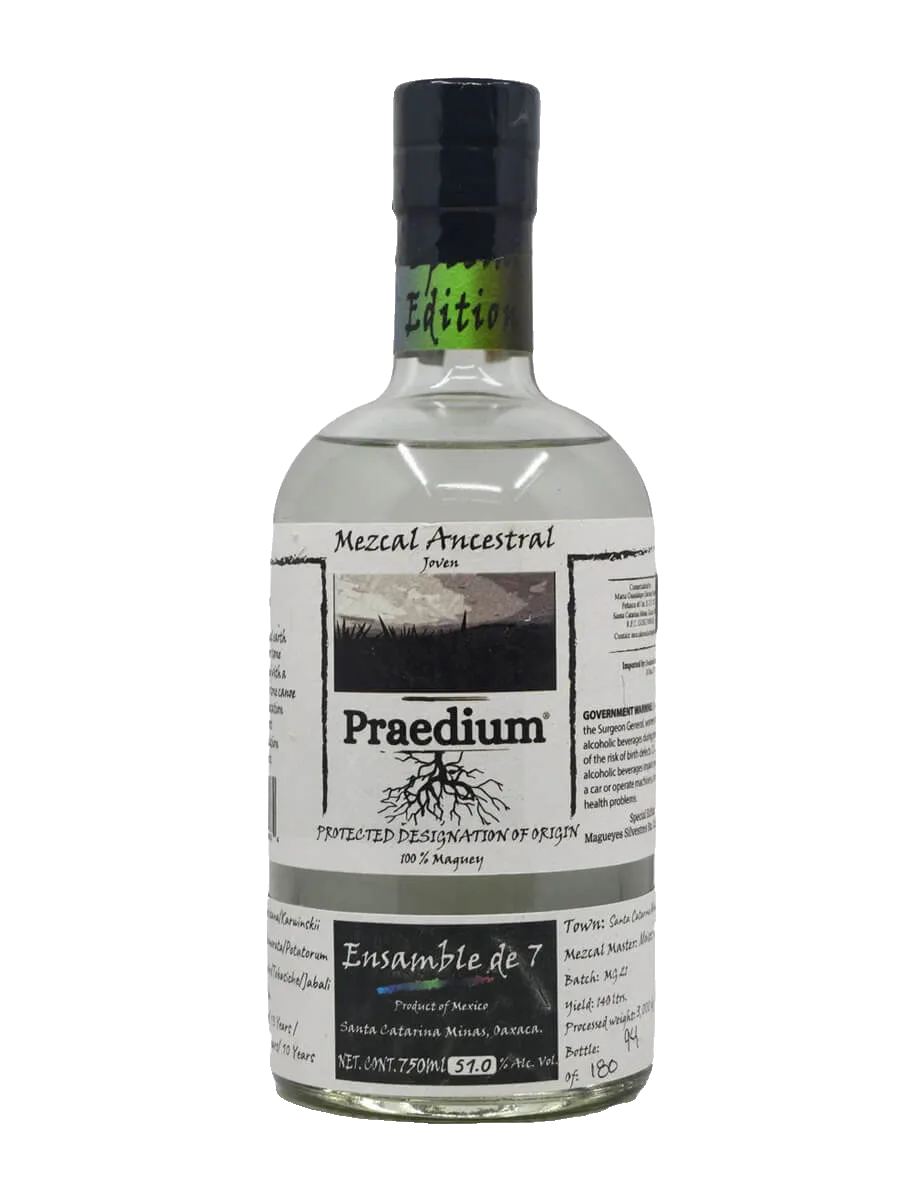 Maguey Melate Inaequidens – Miguel Ortiz Villagomez