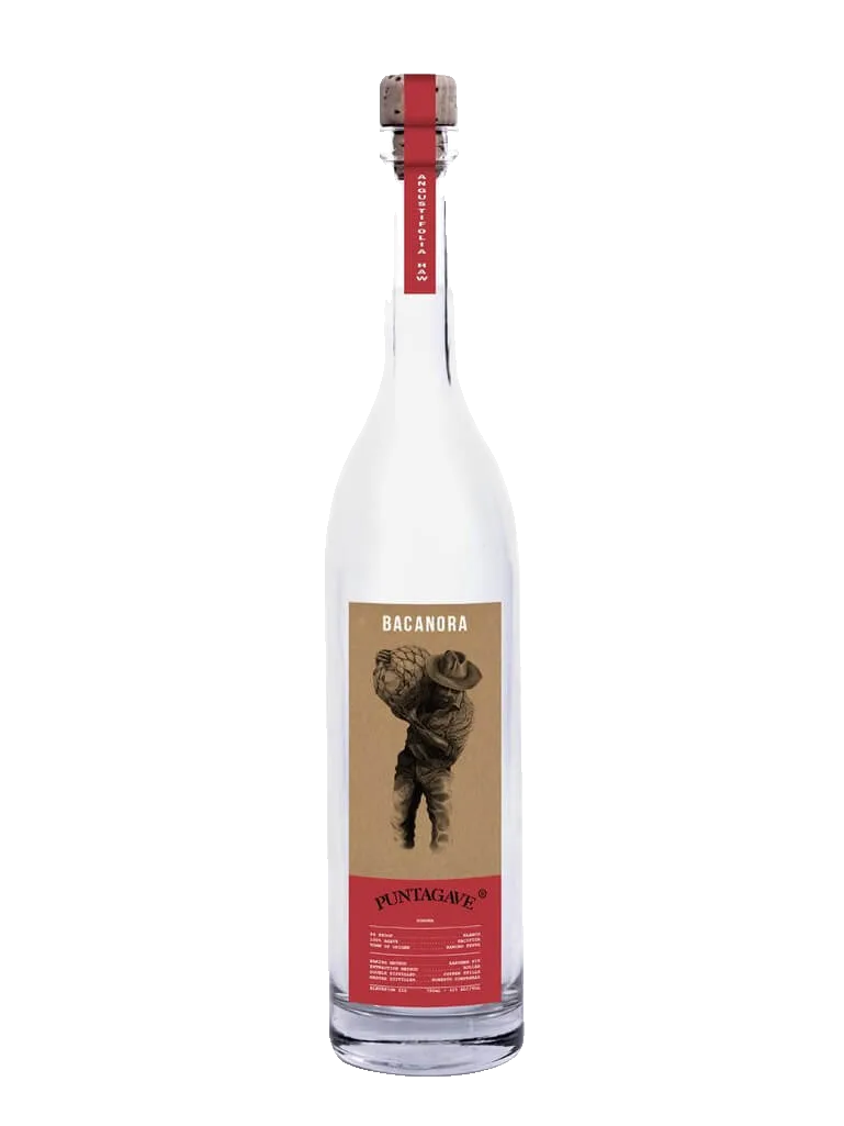 Maguey Melate Jabali – Ildefonso Macedas Ginez