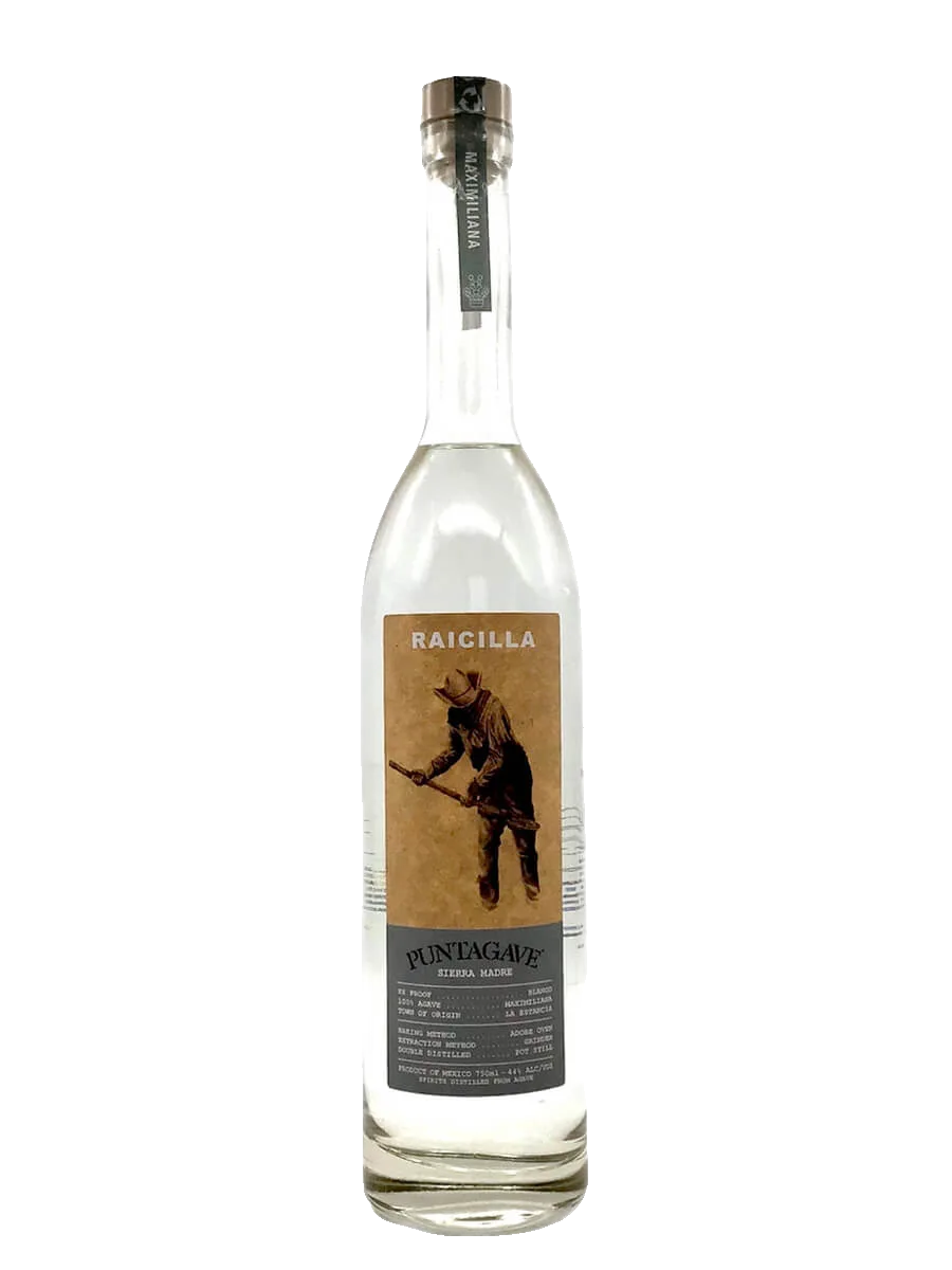 Maguey Melate Lamparillo – Gilberto Roldán