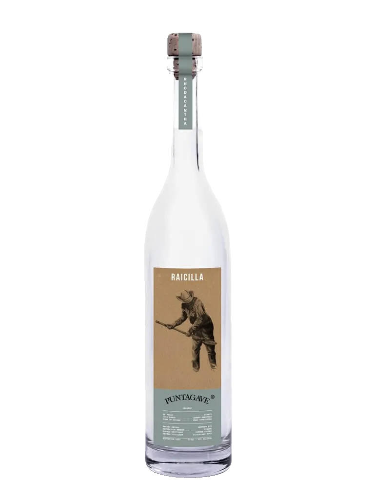 Maguey Melate Lamparillo – Juan Carlos Vasquez Luna