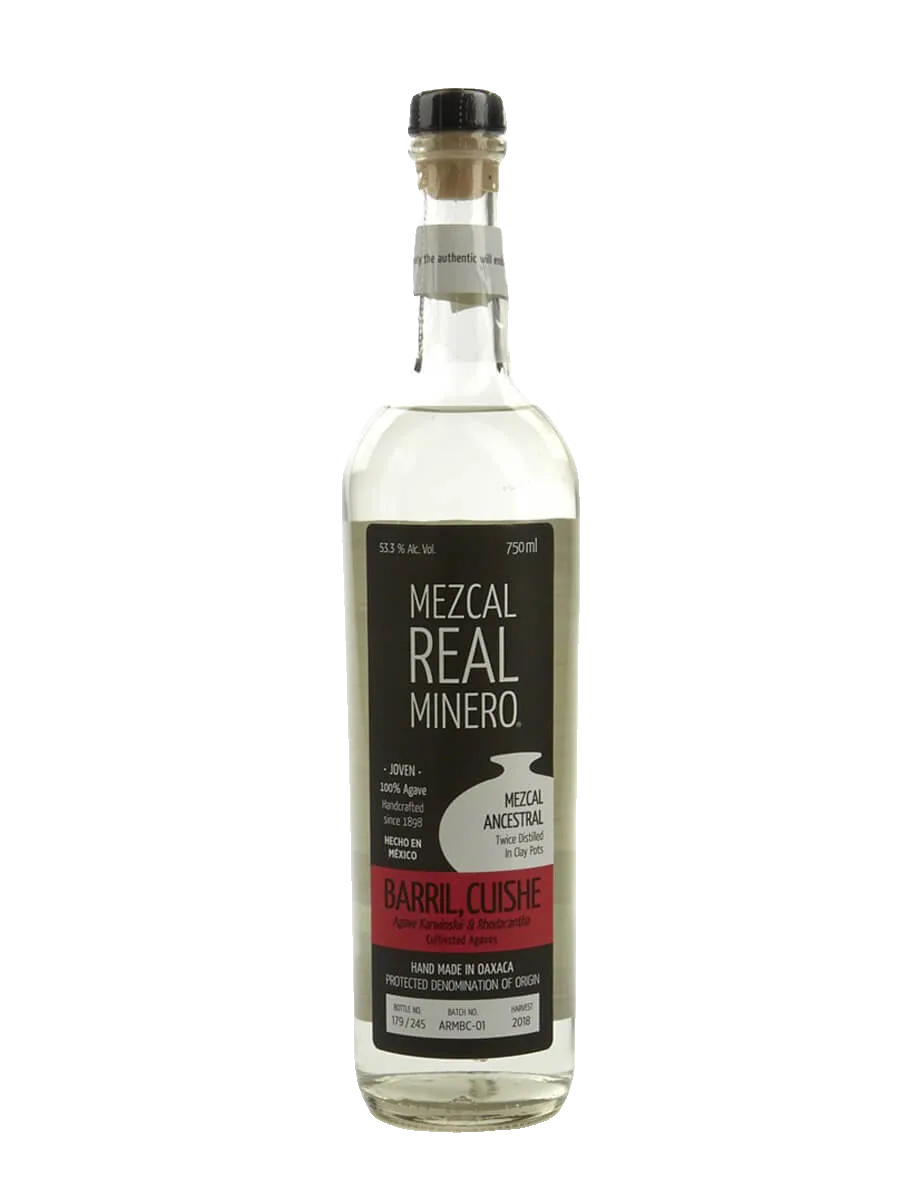 Maguey Melate Puntas de Salmiana – Pedro Valdes