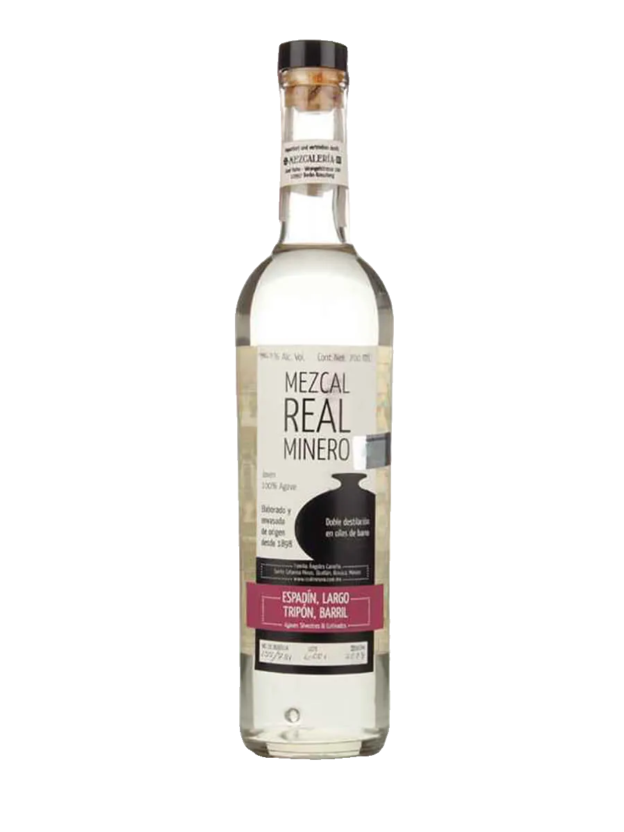 Maguey Melate Tequilana – J. Refugio Pineda Cruz