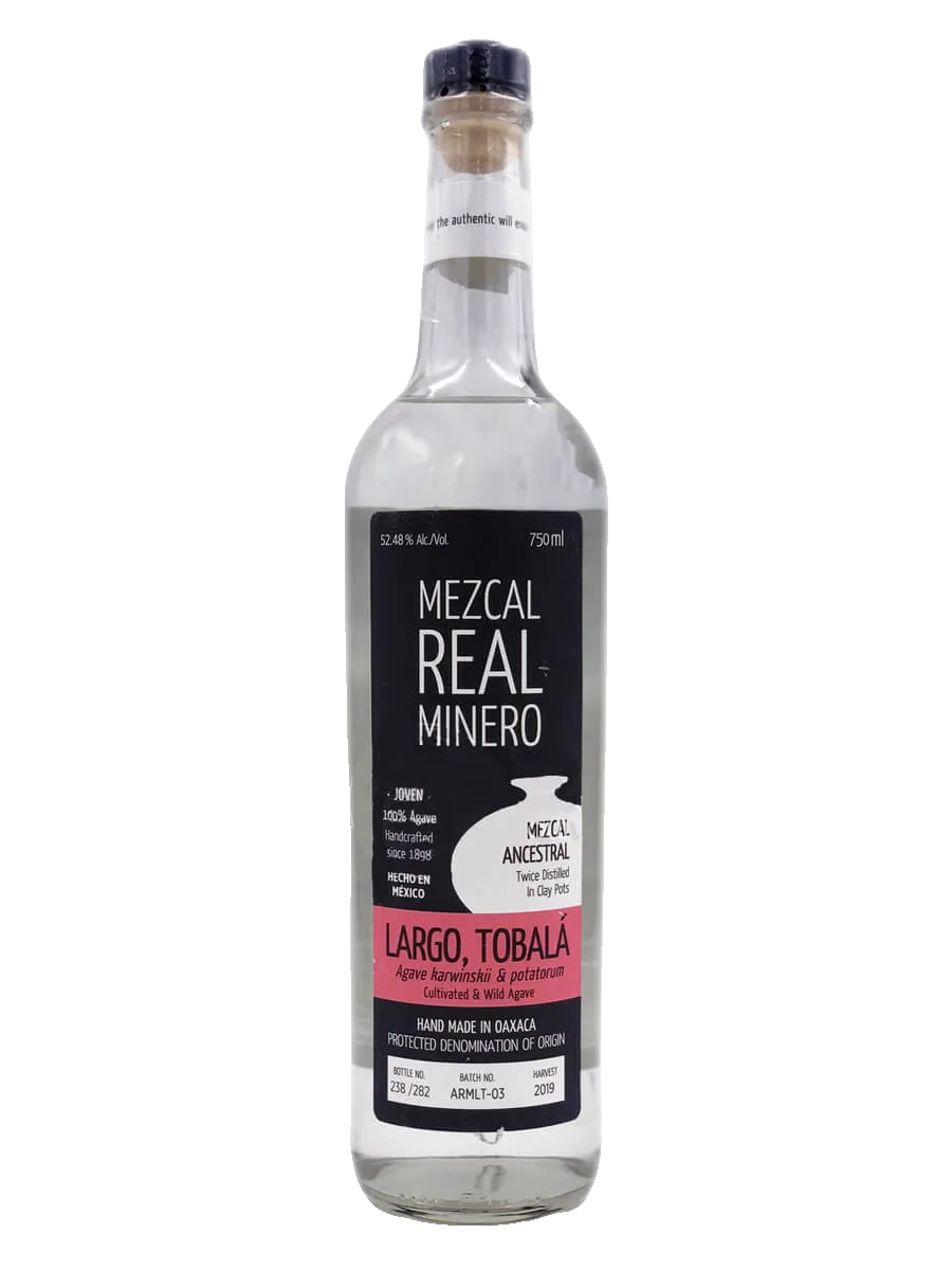 Maguey Melate Tobaziche – Felix Angeles Arellanes