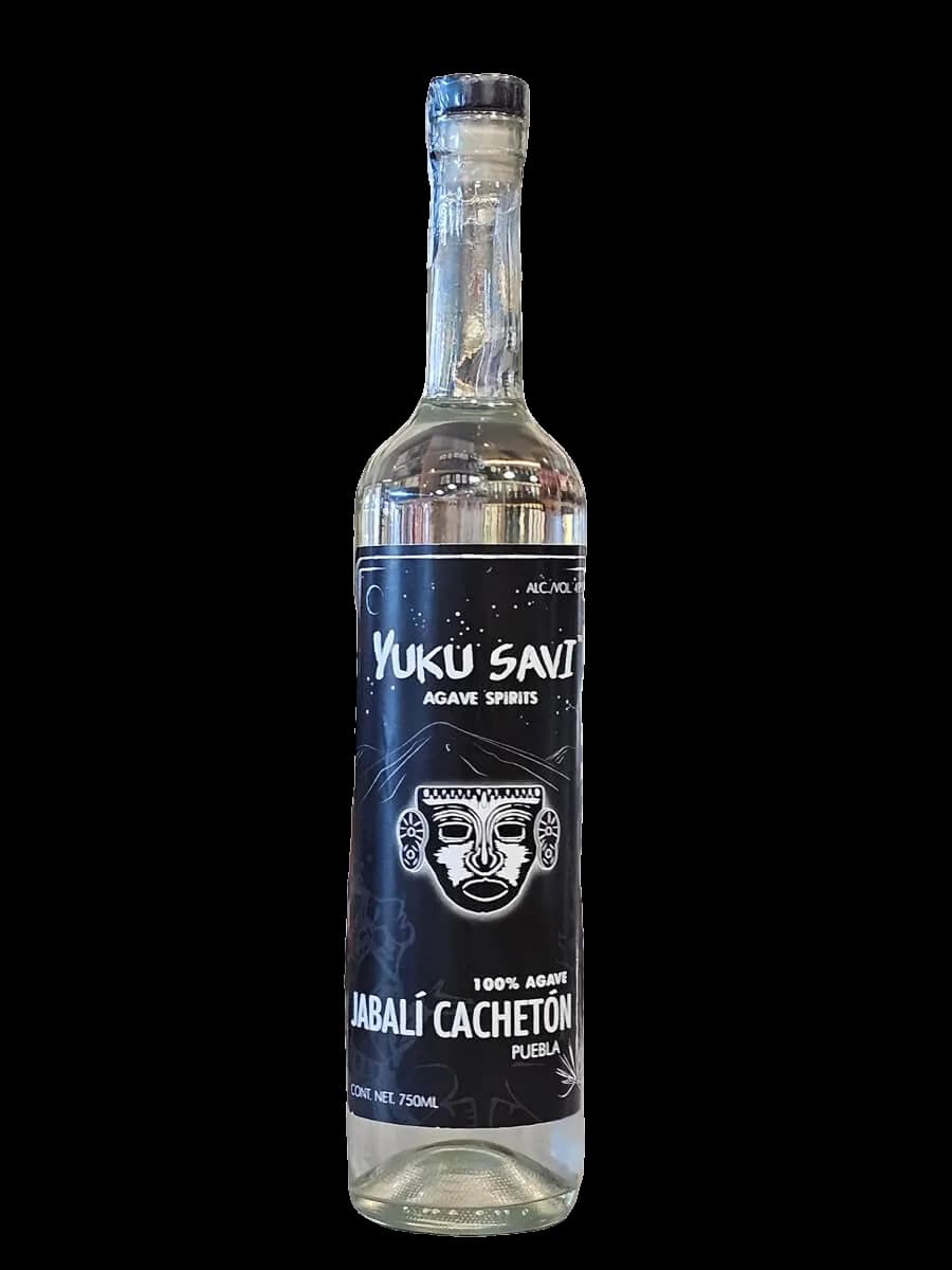 NETA Pulquero Cenizo – Celso García Cruz