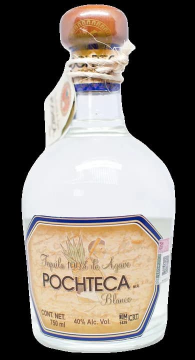 Pochteca Blanco