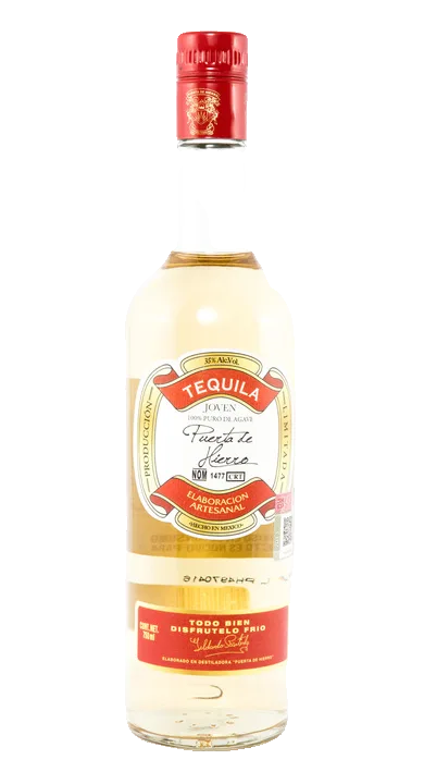 Puerta de Hierro Joven